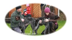 Parning och hängning